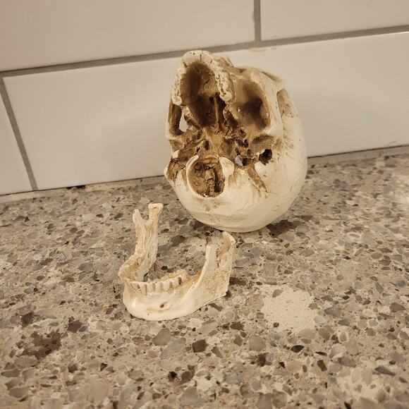 Tiny Firepit Burning Skull - Picture 7 of 9